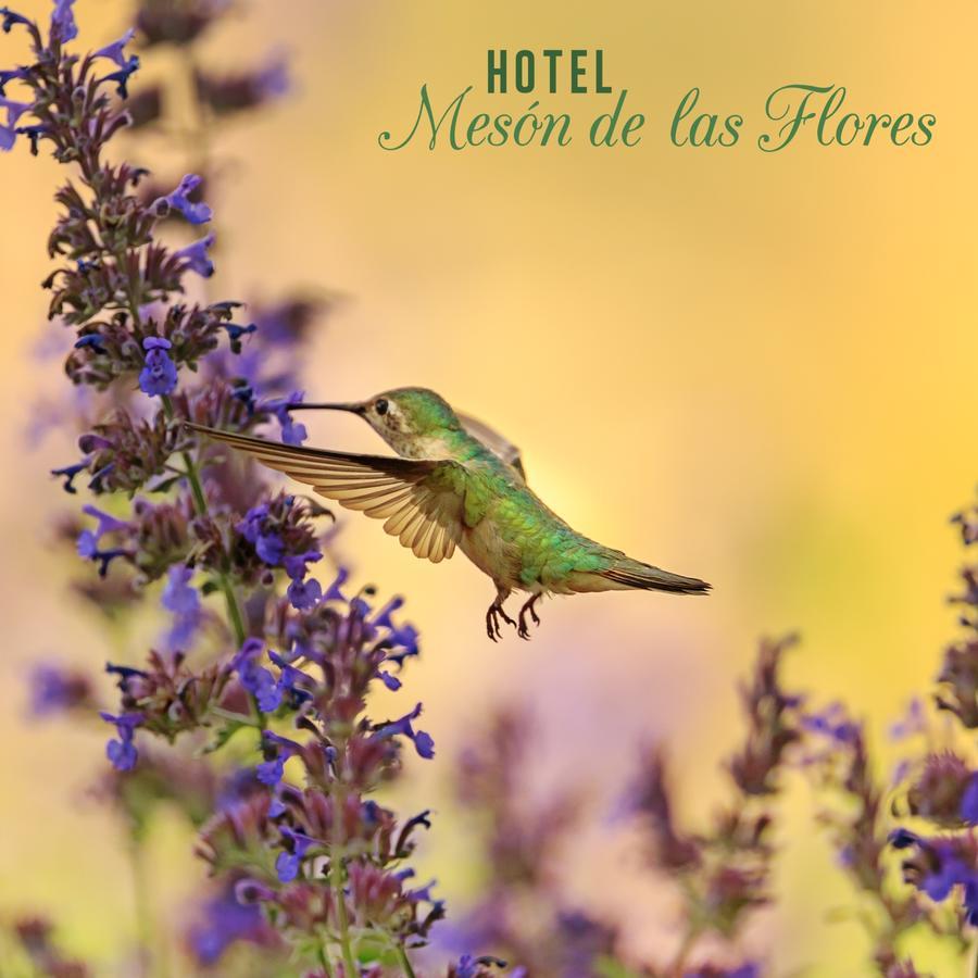 Hotel Meson De Las Flores Armenia  Exterior foto